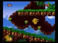 Lagu The Lion King (SNES) speedrun in 12:42 [Difficult]
