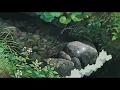 Sufjan Stevens - Futile Devices (Doveman Remix) (Slowed)
