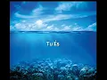 TU ÉS + ÁGUAS PURIFICADORAS (Fhop music) -LETRA  e Voz