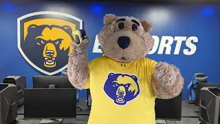 WVU Tech s Monty the Golden Bear now has