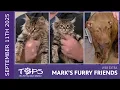 2025 Pixie Dixie and Nick Mark s Furry Friends Extra