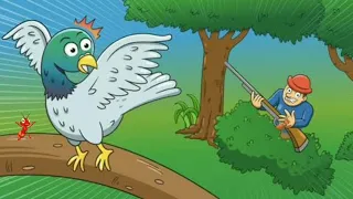 dong ng sireum jeung japati