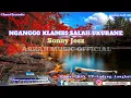 Download Lagu NGANGGO KLAMBI SALAH UKURANE - SONNY JOSZ [KARAOKE] SX KN7000