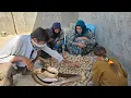 Download Lagu Harsh conditions of livestock farming from birth to food gathering:🐍 dangers of wild animals