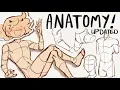 How I draw basic ANATOMY
