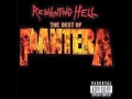 Download Lagu Cemetery Gates - Pantera (HQ Audio)