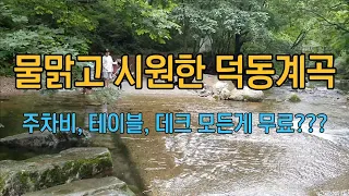 [덕동계곡] 계곡 피크닉,스텔스차박하기좋은 덕동 생태숲 모든게 무료 #자작캠핑카 #스텔스차박 #캠핑카여행 #봉고3워크스루밴 #노지차박 #덕동계곡 썸네일