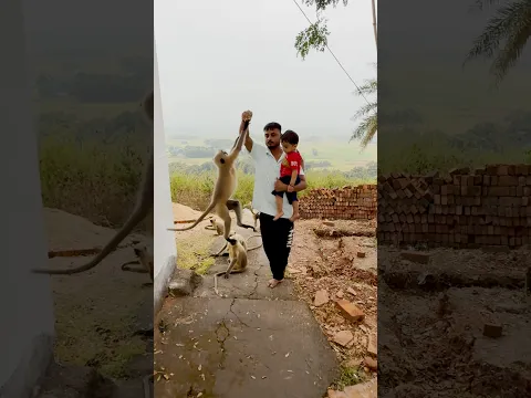 Series 619 β Patli Kamarya More | Part 2 π΅ππLangur ka sweet moment πβ¨