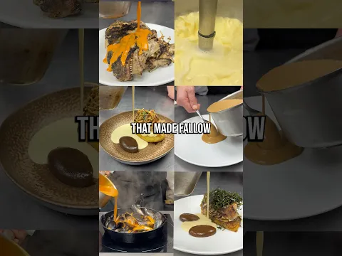 All the Sauces that Made Fallow Famous