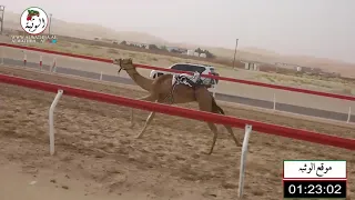 الشوط 16 شاهين لـ عبيد مكتوم سلوم الراشدي 3 10 شارة الشيخ طحنون بن محمد آل نهيان 2021 7 30الساد 