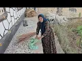 The second wife’s futile attempts to bring Ashraf back and get some food!