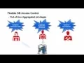 Flexible Database Access Control