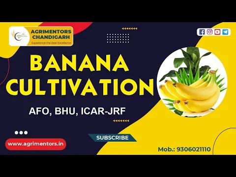 Download MP3 Banana Cultivation || केले की खेती || Varieties || Propagation || BHU || ICAR-JRF || Pre PG Raj