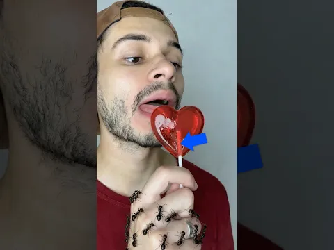Pra Que Serve Esse Furo?