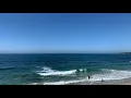 Shark sighting at Brooks Street Laguna Beach SUP Our OC Adventures
