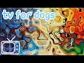 Download Lagu Videos for Dogs to Watch! Abstract Chillout Dog TV Entertainment with Music!