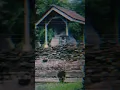 Download Lagu Sosok di balik sumpah palapa gajah mada (sejarah mahapahit)