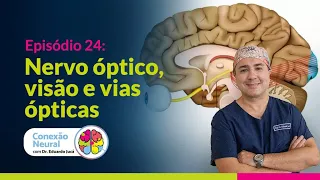 Nervo Óptico, Visão e Vias Ópticas | EP. 24
