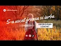 Lagu FULL VERSION  - S-a uscat frunza si iarba (Georgiana Lobont COVER)
