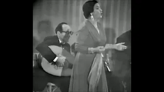 بات السرور كله بيني وبينك متقسم والزهر ويانا ينظر لنا ويتبسم   اجمل مقاطع اغنية الاهات لام كلثوم دندنها