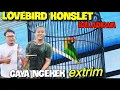 Download Lagu LOVEBIRD KONSLET BALA DEWA GAYA NGEKEK EXTREME PATAH LEHER