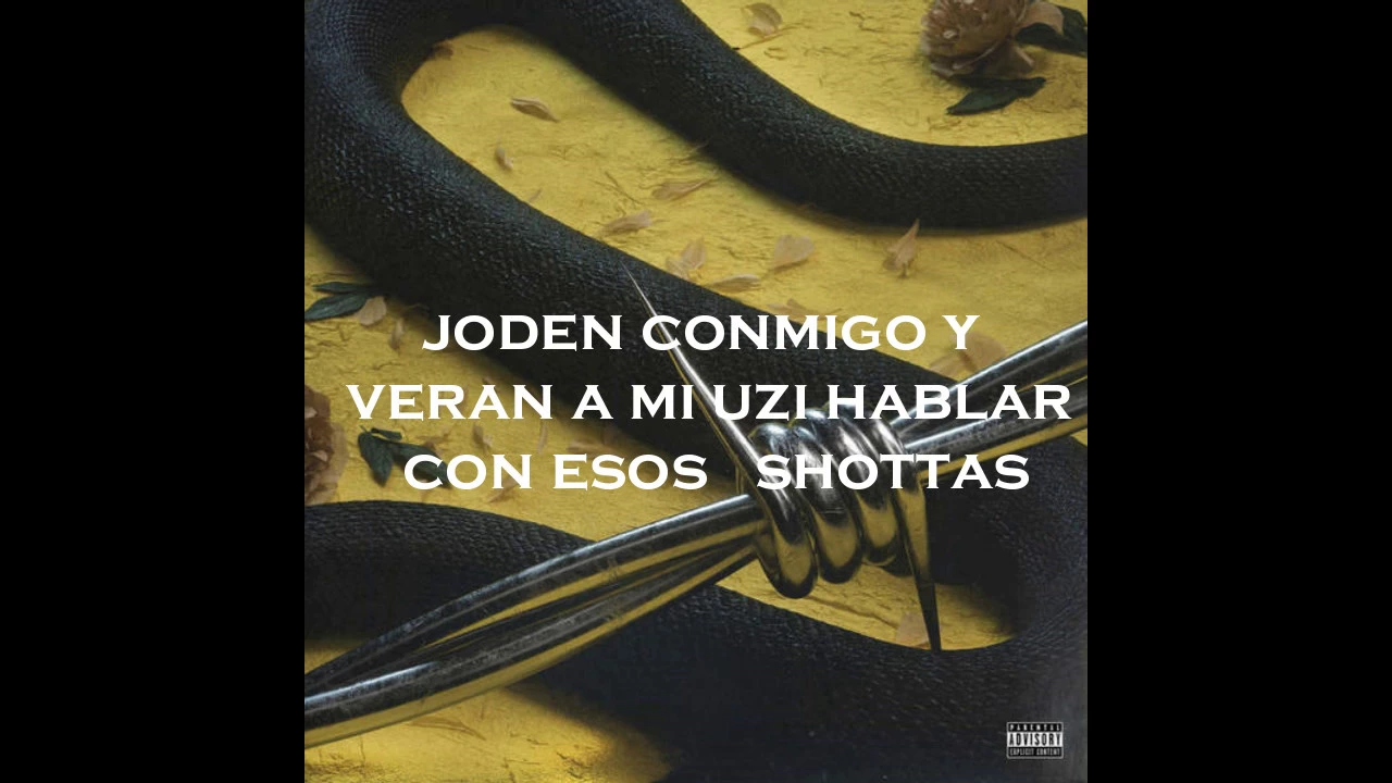Post Malone Feat. 21 Savage -Rockstar (SUBTITULADO EN ESPAñOL) Post Malone Feat. 21 Savage -Rockstar (SUBTITULADO EN ESPAñOL)