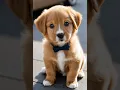 Download Lagu cutest puppy barking adorable video #dog #doglover #dogbarking #puppy #dogs #barking #dogsound