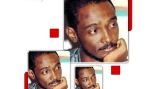 محمود عبد العزيز حب الناس 