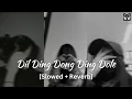 Download Lagu Dil Ding Dong Ding Dole [Slowed+Reverb] | Lofi With Bass