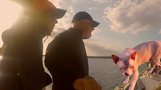 3 Years in 3 minutes! Full-time live a-boards for 3 Years,  the time goes by! Sailing Ocean Fox