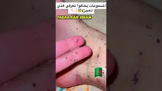 أفضل منتجات متوفرة في السوق الجزائري 2025 