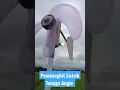Pembangkit listrik tenaga angin atau Bayu dari dinamo bekas #shorts #shortvideo #shortsvideo