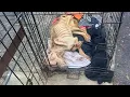 Download Lagu Locked For Life in This Cramped Cage, She Was Left All Drained \u0026 Bones Wanted to Pierce Skin
