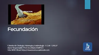 FECUNDACION