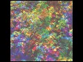 CARIBOU - Can't Do Without You (Extended Mix)