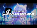 Download Lagu DJ WONDERLAND BREAKBEAT ( SLOWED \u0026 REVERB )