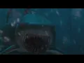 Scientists Experiment On Shark Brain For Alzheimer s Cure But Make Sharks Smarter Than Humans