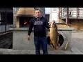 Download Lagu Fish cooked in an oven Caucasus style.