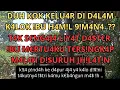 Download Lagu tak sengaja tapi ibu mertua bahagia #kisahnyata 