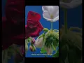 Download Lagu Letters|letters by Maximilian|song|music|Maximilian|trending song|letter#shorts #letters#maximillan