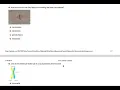 Mitosis Quizlet Test
