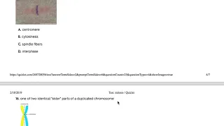Mitosis Quizlet Test