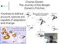 18 Evolution 101