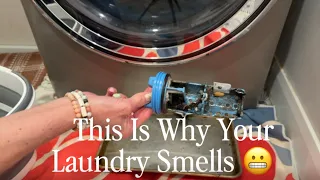 Step-by-Step Washing Machine Deep Clean You re Probably Skipping This