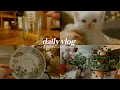 cozy vlog kitten loves cuddles totoro dinnerware unboxing cozy indoor plants shopping