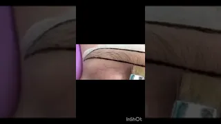 تعليم رسم الحواجب بسهل طريقه في المنزل 