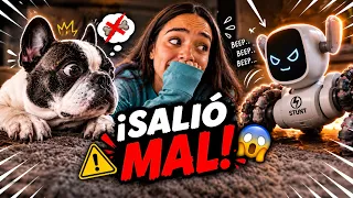 MI PERRO CONOCE AL PERRO ROBOT*sale mal* 😳 ||More Andrade