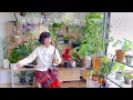 [ファミリーヒストリー]～Remember me～くるり
