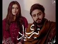 Lagu Teri Yaad - Official Video | Usman Farooqi \u0026 Ayesha Baryar | Sabih | Ali Syed | Qasim Azhar