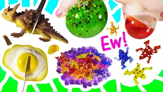 Download Cutting OPEN Squishy FRIED EGG! Mystery Homemade STRESS BALL! Dino Lizard Gross ALIEN Brain! FUN MP3